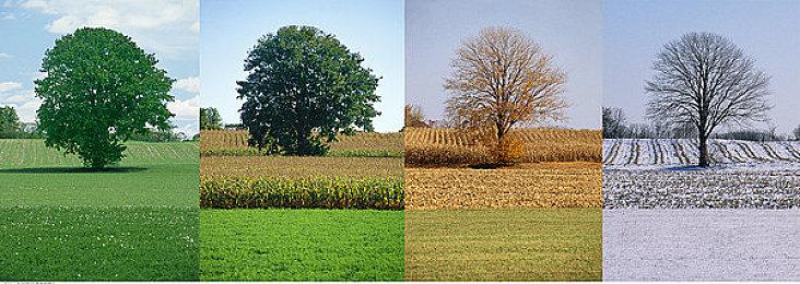 互动式AR景点《怪物猎人：BRIDGE》公布 参展2025年大阪世博会