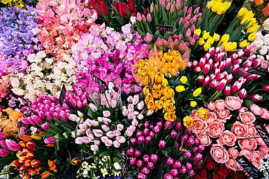 类魂动作角色扮演游戏《死亡约束》现已正式推出 Steam平台获多半好评